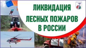 27ff4bc994f9362a199e047e6e4e2e3c.jpg