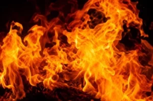 ebf8f6441f669561324047d57715cdbc.webp